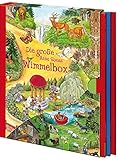 Die große Anne Suess Wimmelbox: 3 Wimmelbücher im Schuber. Für Kinder ab 3 Jahren